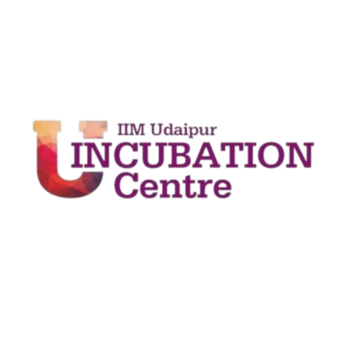 IIM Udaipur Incubation Centre